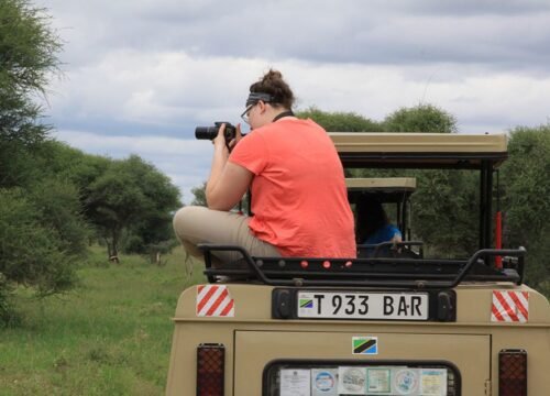 How to Prepare for a Safari