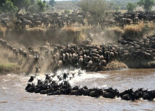 3 Day Great Migration Safari - Serengeti and Ndutu