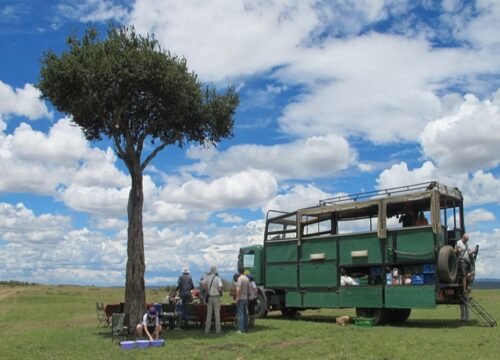 Why Tourists Choose Ron Adventure