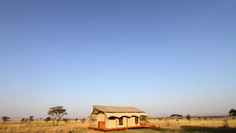 Serengeti Travel 2025