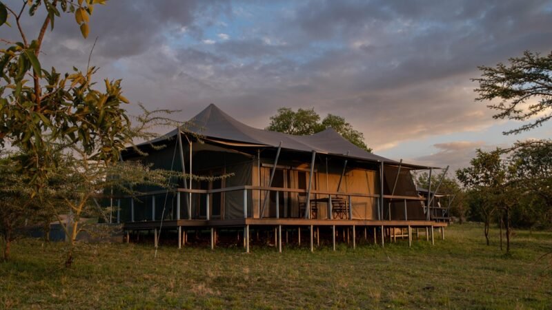 Serengeti Family Safari Guide