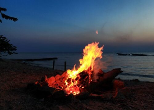 THINGS TO DO IN TANZANIA 2025-2026