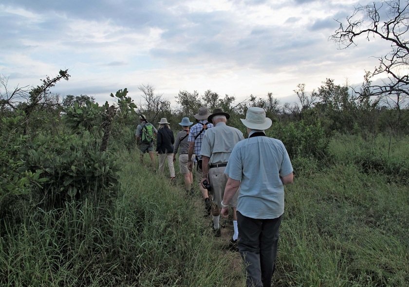 A Day Walking Safari in Arusha National Park